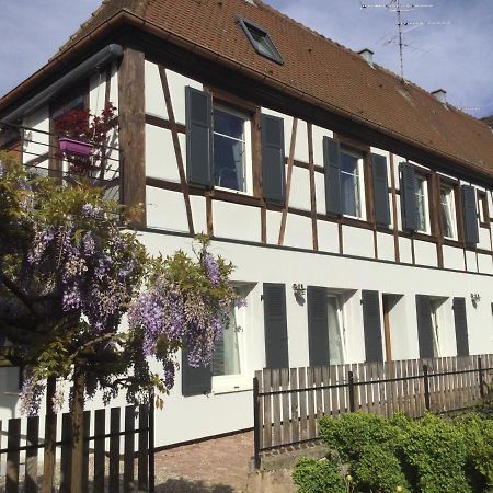 Gite Cote Jardin Ingersheim Exteriér fotografie