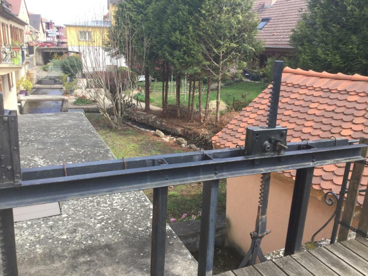 Gite Cote Jardin Ingersheim Exteriér fotografie